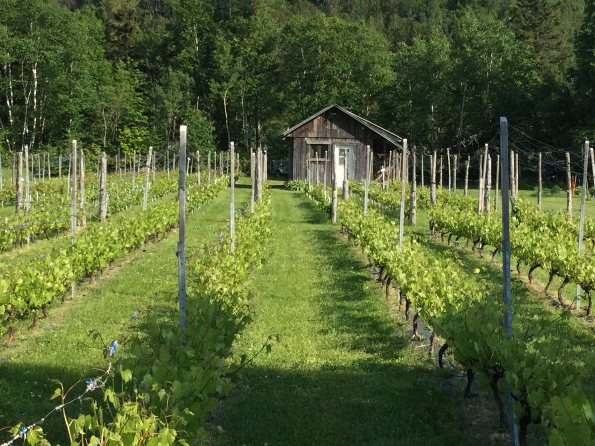 Chalet Saint-Thomas LʼAnse-Saint-Jean Zewnętrze zdjęcie